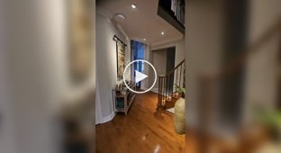 Професійний уболівальник Формули-1