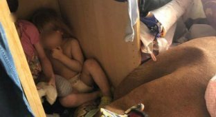 В Мытищах органы опеки забрали 4 детей-маугли у матери (7 фото + видео)