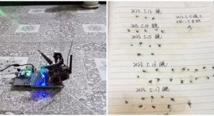 У Китаї умілець вигадав ППО для комарів (2 фото + 1 відео)