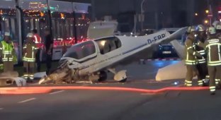 In Germany A plane made an emergency landing on a busy street (2 photos + 1 video)