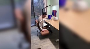 Комп'ютерний стілець з додатковими місцями для вихованців