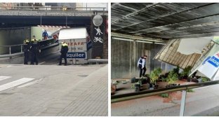 Барселонский "мост глупости" поймал грузовик с саженцами  марихуаны (7 фото)