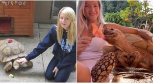 A 22-year-old girl is friends with an African turtle (8 photos)