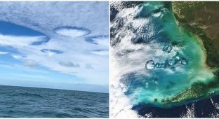 Hollow clouds similar to a UFO were spotted in the sky over Florida (5 photos + 1 video)