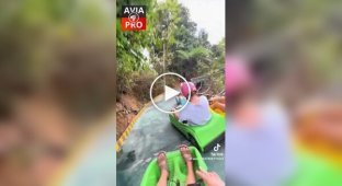 Екстремальні гонки з адреналіном