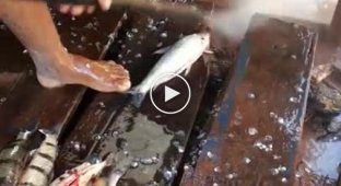 Как быстро очистить рыбу от чешуи