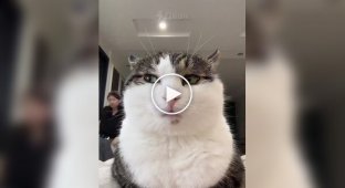 Когда просто хотел посидеть в тишине