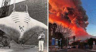 25 photos of past years that clearly reflect some historical moments (26 photos)