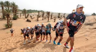 26-ой Песчаный марафон (Marathon des Sables) (23 фото)