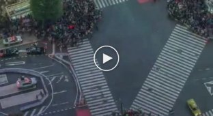 View from above: Shibuya Crossing in Tokyo