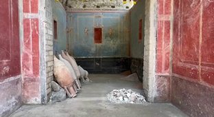 Археологи обнаружили интересную комнату в Помпеях (5 фото + 1 видео)