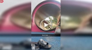 Беговое колесо для человека: легко только на первый взгляд