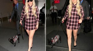 Леди Гага забыла надеть штаны на прогулку с собакой (11 фото)