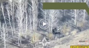 Легіон Свобода Росії знищив дронами Дикі шершні дві БМД-2 окупанти на території Білгородської області