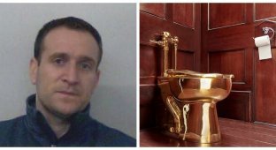 One of the thieves of a golden toilet from an art exhibition admitted his guilt (8 photos)