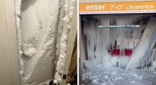 Arctic frost hits North America and causes havoc (27 photos)