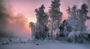Зима, зимою, о зиме... (16 фото)