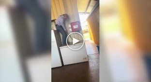 Life in Australia in a minute