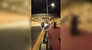 Мабуть, щось особисте: кіт влаштував атаку на велосипеди