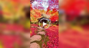 Bright colors of autumn near a Buddhist temple