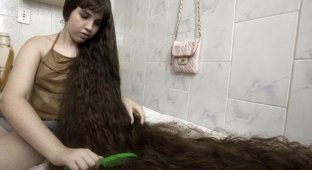 Волосы в обмен на ремонт (2 фото)