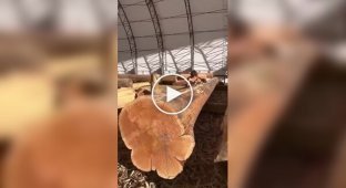 Canadian hand-cut wooden houses