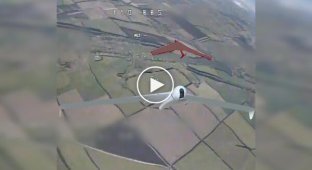 Kamikaze drone destroys enemy Zala reconnaissance UAV in air in Pokrovsky direction