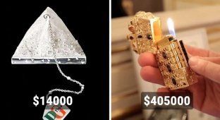 17 ordinary things whose price tag cannot be explained in terms of common sense (18 photos)
