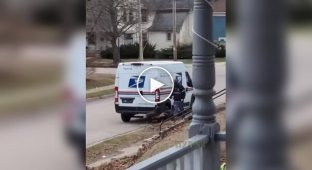 Помста за День Подяки: у Вісконсіні зграя диких індиків тероризує місцевих жителів