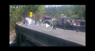 Plane crash landing on highway caught on video in Panama