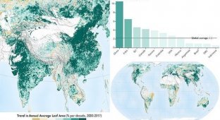 Планета зеленеет стараниями Китая и Индии (4 фото)
