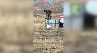 Медведь попытался напасть на своего спасителя