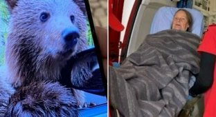 У Румунії туристка потрапила до лікарні після зустрічі з ведмедем (4 фото + 1 відео)