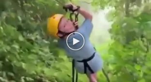 "You won't get through!": A sloth blocked the path during a zipline