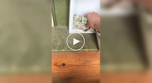 Farmer's kiosk without a seller