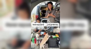 A cat attempts to heat up its food