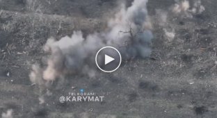 Українська артилерія виявила групу червоних личинок