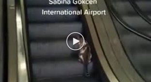 Helped cat get to know the escalator