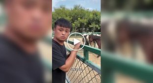 The Master of Imitation: How a Guy Understands Animal Language