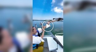 В Китае люди дотронулись до пролетающих гусей