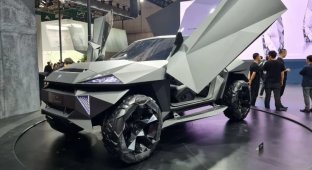 Chinese SUVs in the style of a stealth fighter (10 photos)