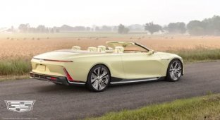 Luxurious Cadillac Sollei convertible with mushroom trim (10 photos + 1 video)