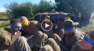 Our fighters captured several more occupiers in Kursk region