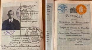Как выглядел европейский паспорт 100 лет назад? (9 фото)