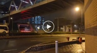 Сила природи, яка може нокаутувати