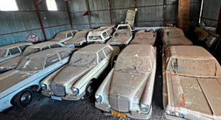 A hangar filled with rare Mercedes found in South Africa (7 photos)