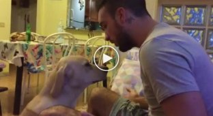 The dog misbehaved, and now asks for forgiveness from the owner