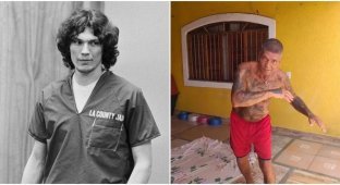A wolf hunt is underway: the real Dexter (7 photos)