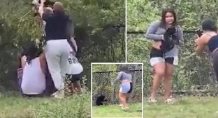 Drunk Americans took bear cubs from a tree for a selfie (7 photos + 1 video)
