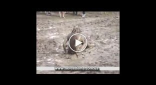 Танец девушки в грязи